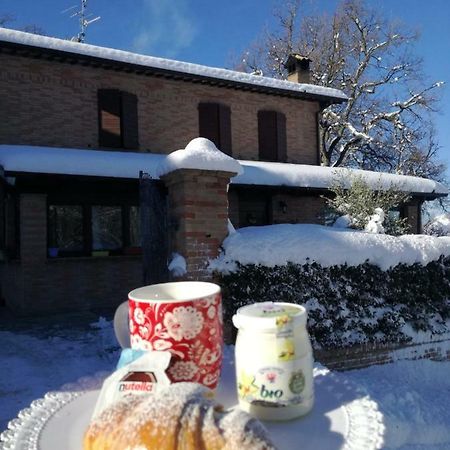 Il Castagneto Bed and Breakfast Camerino Eksteriør billede