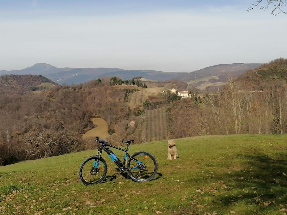 Il Castagneto Bed and Breakfast Camerino Eksteriør billede