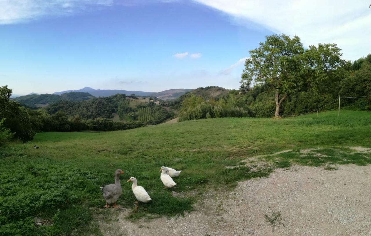 Il Castagneto Bed and Breakfast Camerino Eksteriør billede