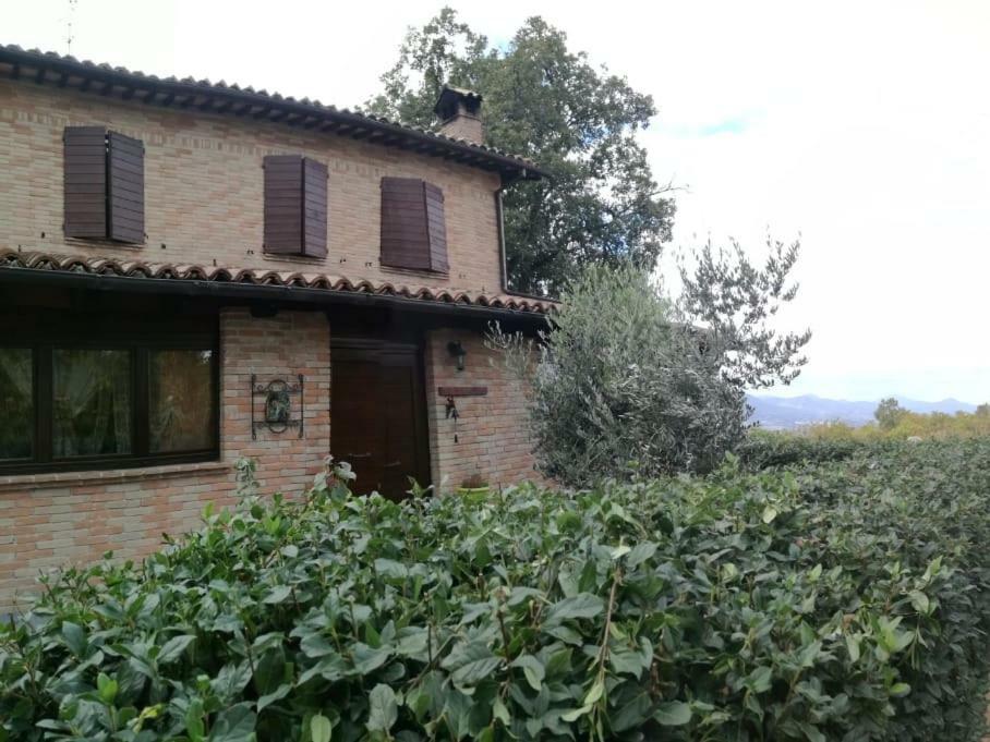 Il Castagneto Bed and Breakfast Camerino Eksteriør billede